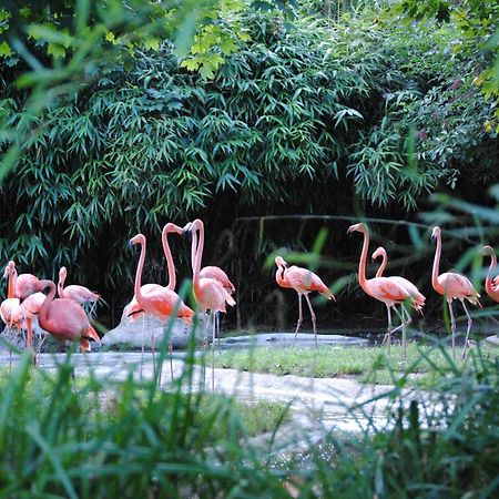 Close To Schoenbrunn Apartments - Contactless 24H Check-In Відень Екстер'єр фото