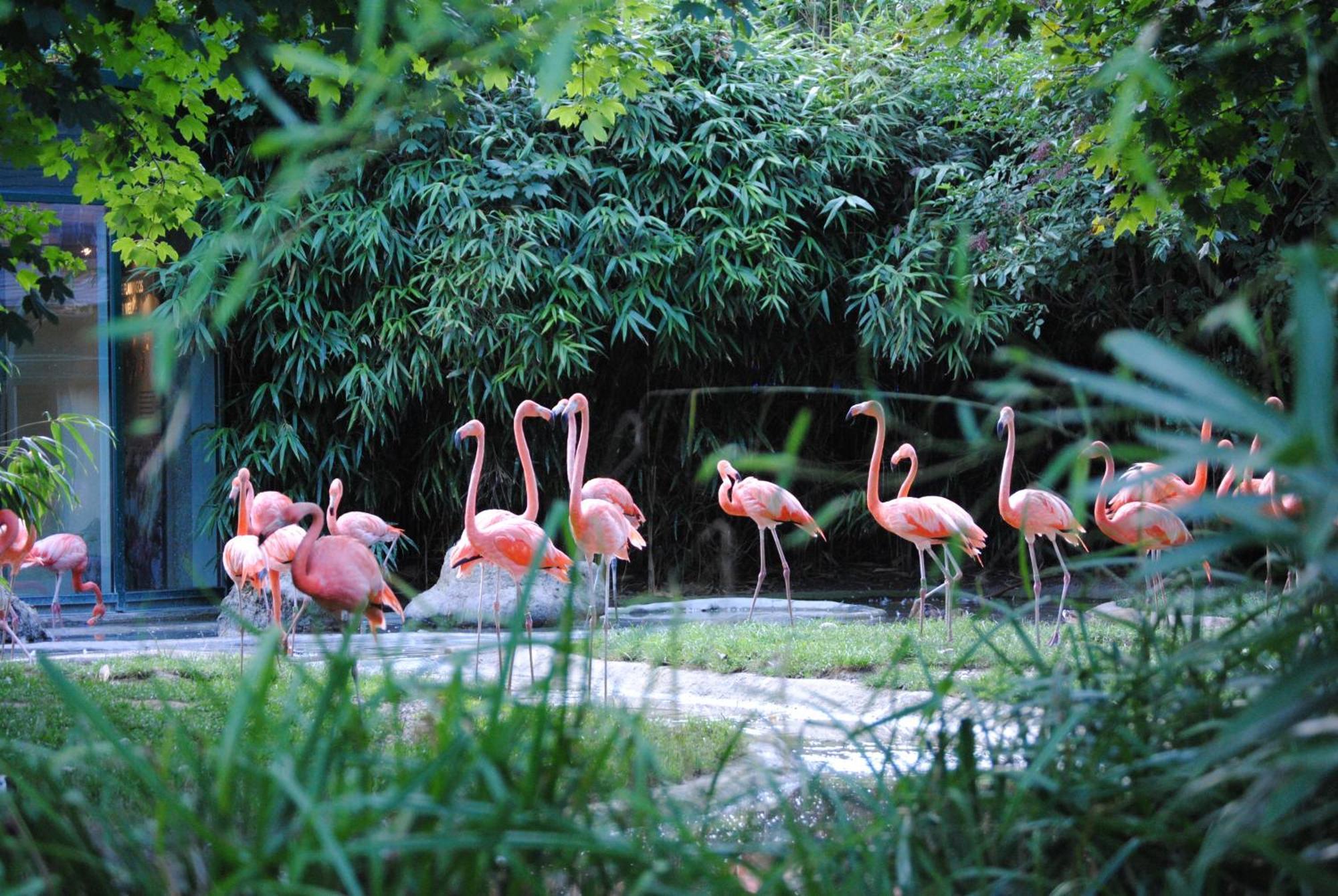 Close To Schoenbrunn Apartments - Contactless 24H Check-In Відень Екстер'єр фото